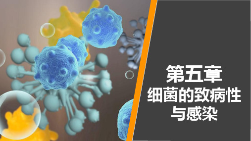 病原生物学与免疫学 第五章