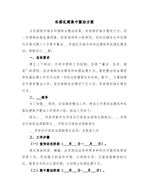 私搭乱建集中整治方案(3篇)