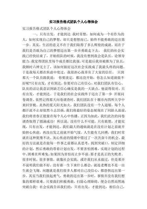 实习报告格式团队个人心得体会(精简版)
