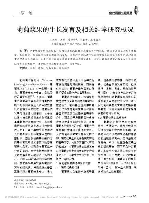 葡萄浆果的生长发育及相关组学研究概况