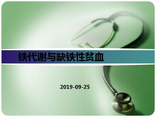 铁代谢与缺铁性贫血