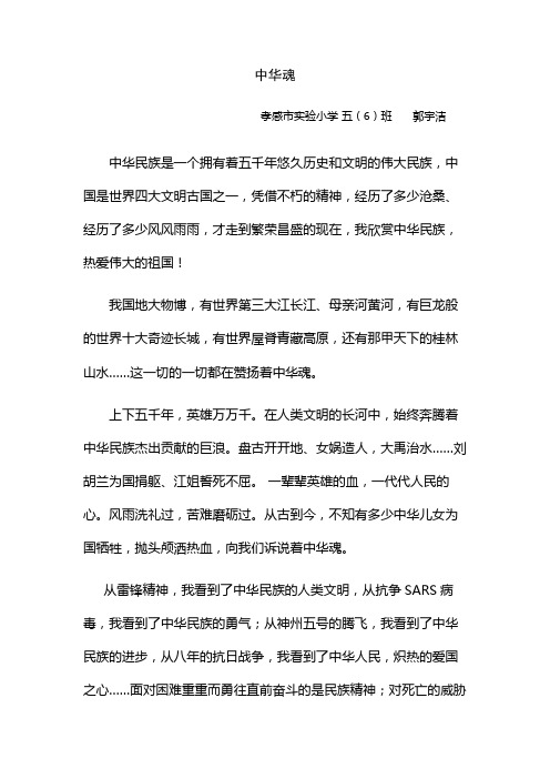 中华魂征文2