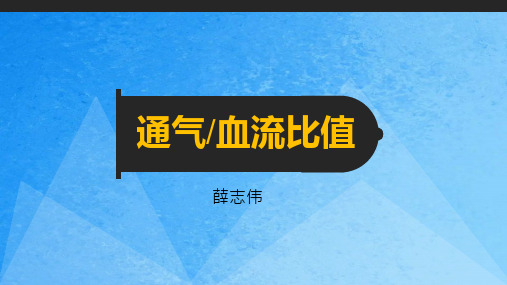 生理学教学-通气 血流比值 薛志伟ppt课件