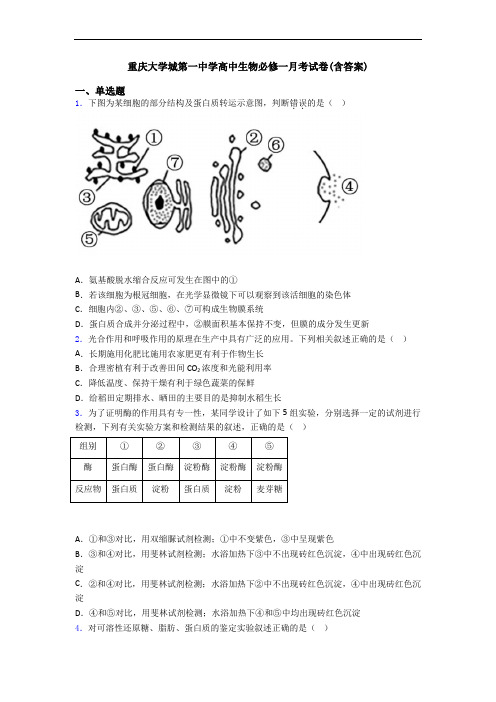 重庆大学城第一中学高中生物必修一月考试卷(含答案)