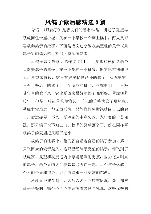凤鸽子读后感精选3篇