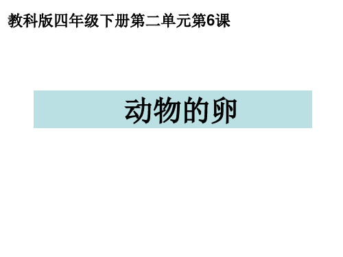 四下二6动物的卵课件1