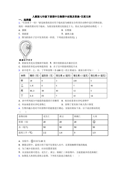 人教版七年级下册期中生物期中试卷及答案-百度文库