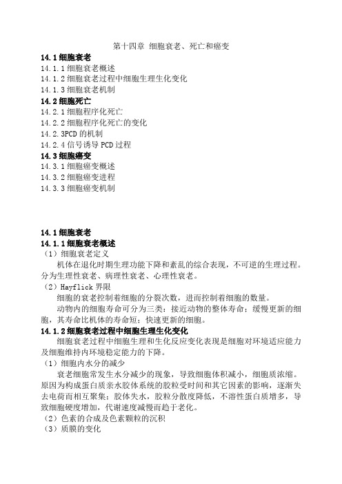第十四章 细胞衰老、死亡与癌变 细胞生物学(王金发版)章节总结