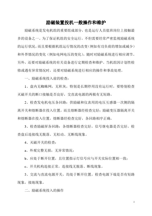 励磁装置投机一般操作与维护