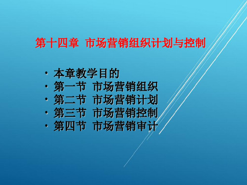 市场营销学第十四章市场营销组织计划与控制ppt课件