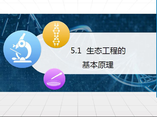 2020_2021学年高中生物专题5生态工程1生态工程的基本原理课件3新人教版选修3