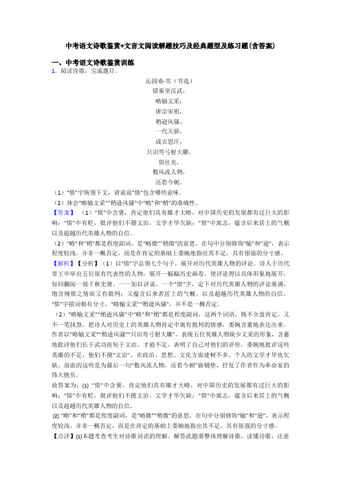 中考语文诗歌鉴赏+文言文阅读解题技巧及经典题型及练习题(含答案)