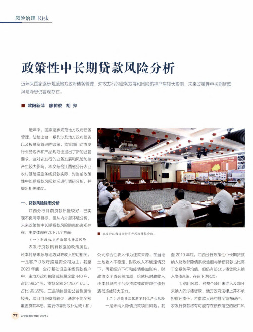 政策性中长期贷款风险分析