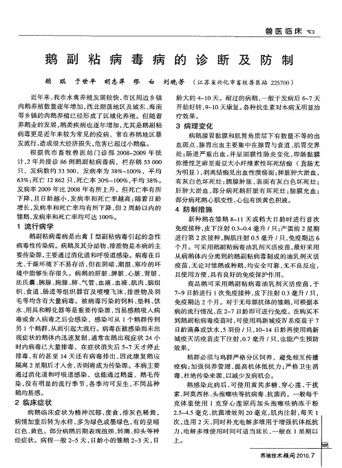 鹅副粘病毒病的诊断及防制