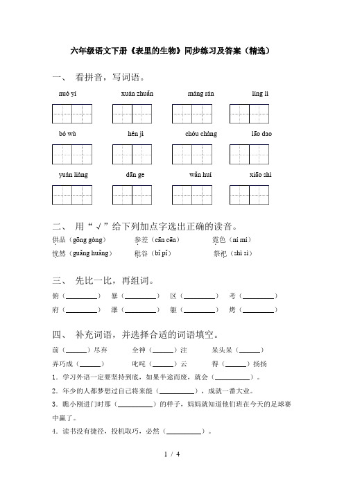 六年级语文下册《表里的生物》同步练习及答案(精选)