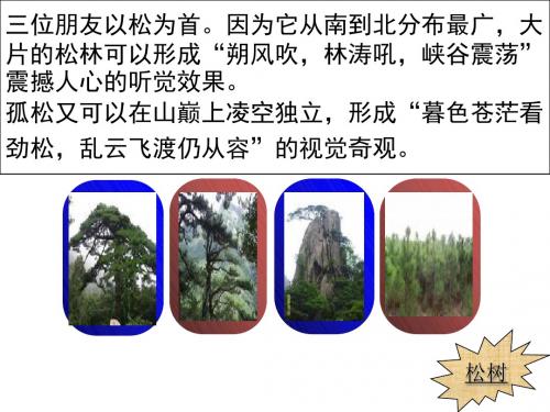 苍松怪石图题诗