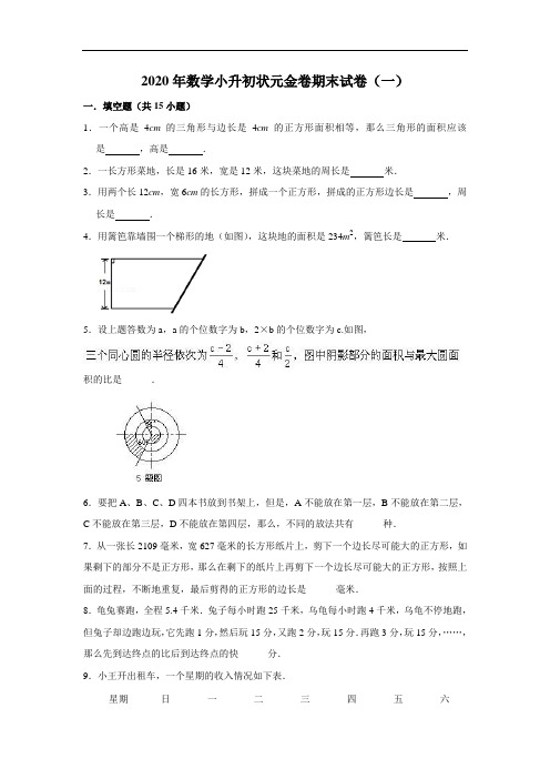 2020年数学小升初状元金卷期末试卷(一) 