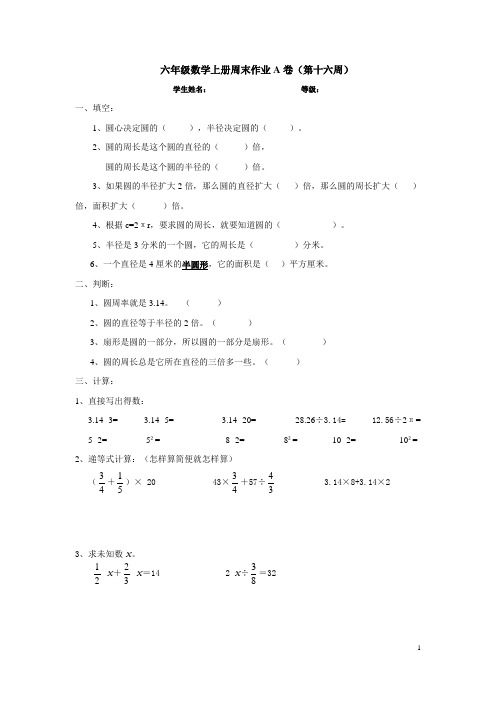 人教版六年级上册数学第16周专项训练(A卷)