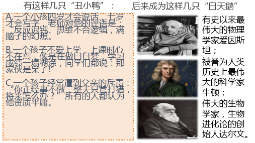 2024-2025学年统编版道德与法治七年级上册 课件(共19张PPT)