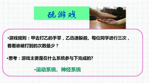 济南版七年级生物下册课件：3.5.3神经调节的基本方式(共23张PPT)