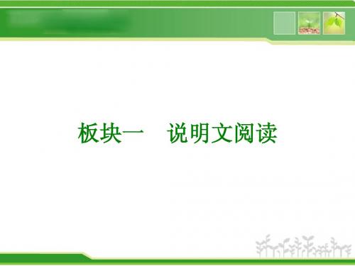 现代文阅读----说明文