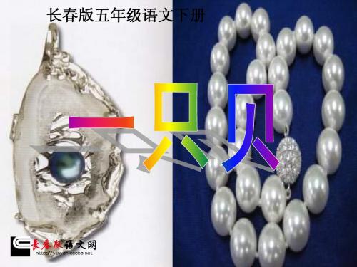 长春版语文五年级下册《一只贝》课件