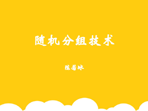 随机分组技术ppt实用资料