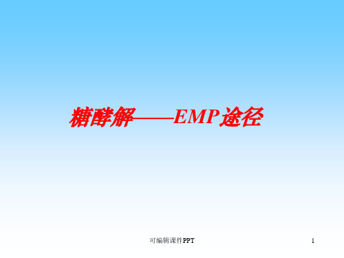 糖酵解ppt课件