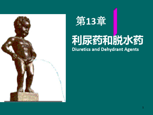 利尿药及脱水药2ppt课件