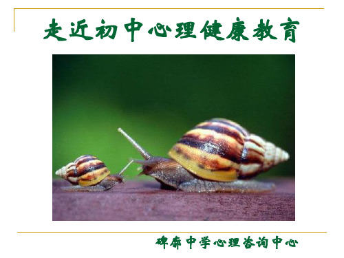 走近初中心理健康教育公共课PPT课件