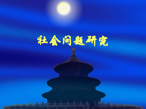 2013社会问题概述PPT