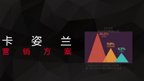 美妆品牌-卡姿兰整合营销传播方案