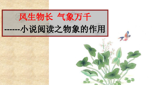 小说阅读中物象的作用,PPT