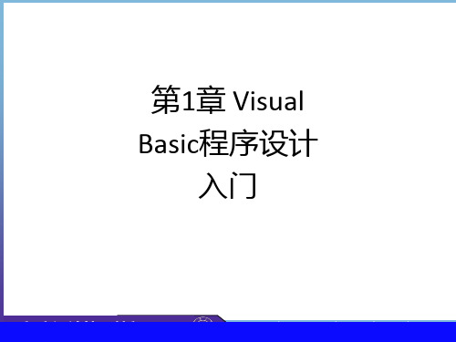 第1章 Visual Basic程序设计入门ppt课件