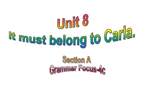 SectionA+Grammar+Focus-4c课件+2024-2025学年人教版英语九年级全册+