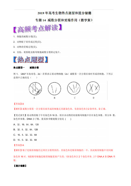 2019年高考生物热点题型和提分秘籍专题14减数分裂和受精作用(教学案)含解析