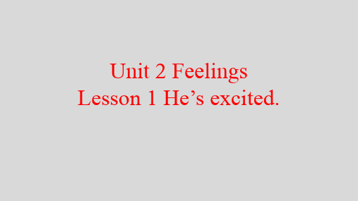 鲁科版五四学制五年级上册Unit2、Lesson1、He’s、excited课件2