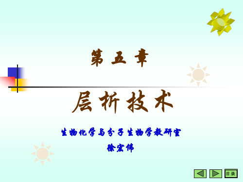 离子交换层析的基本原理