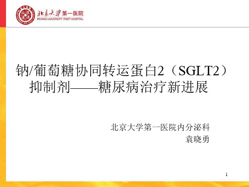 糖尿病治疗新进展PPT参考幻灯片