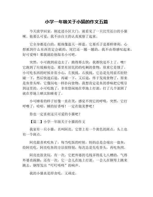 小学一年级关于小猫的作文五篇
