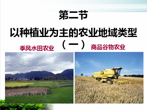 《以种植业为主的农业地域类型》PPT43 人教课标版