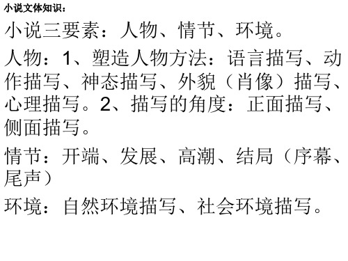 中考小说讲解专题