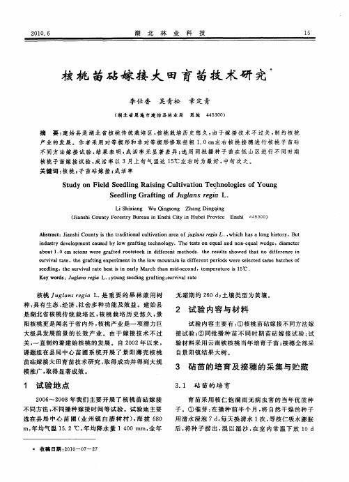 核桃苗砧嫁接大田育苗技术研究