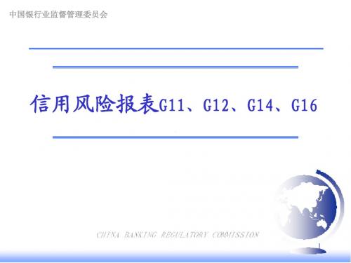 商业银行信用风险报表讲座课件