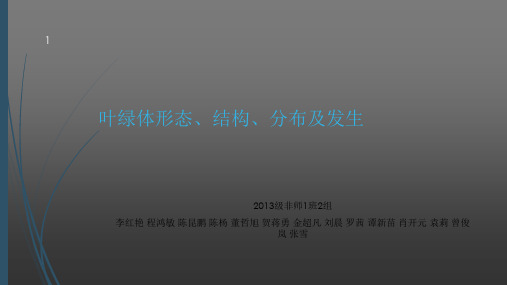 叶绿体形态、结构、分布及发生(课堂PPT)