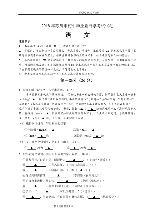 2018年中考语文试题含答案及解析