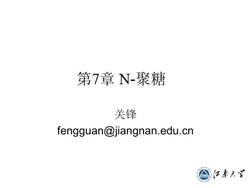 7 第七章 N-聚糖解析