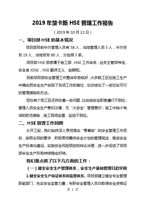 HSE工作报告word精品文档9页