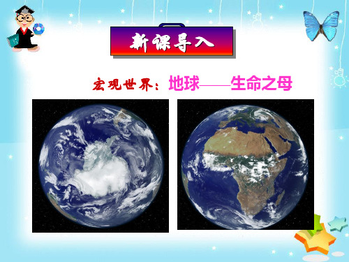 必修1第一章第1节从生物圈到细胞 (康小芳)