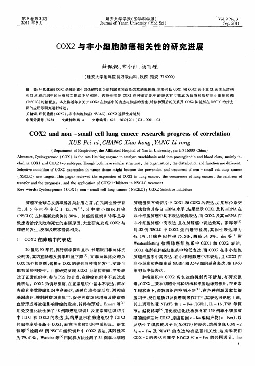 COX2与非小细胞肺癌相关性的研究进展